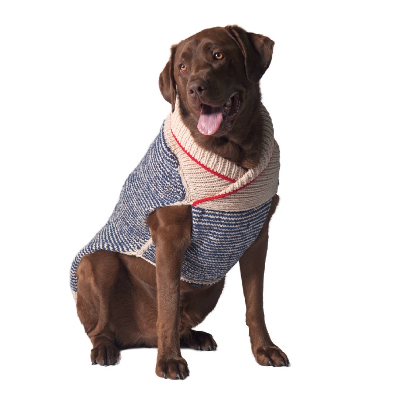 dog-sweater-1