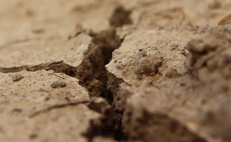 Crack in soil