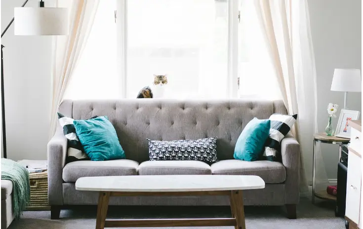 Living room couch with cat by window