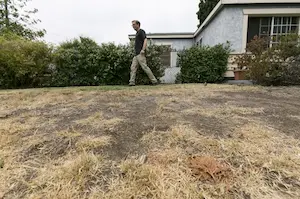 A man walking in front of his house looking at dead grass