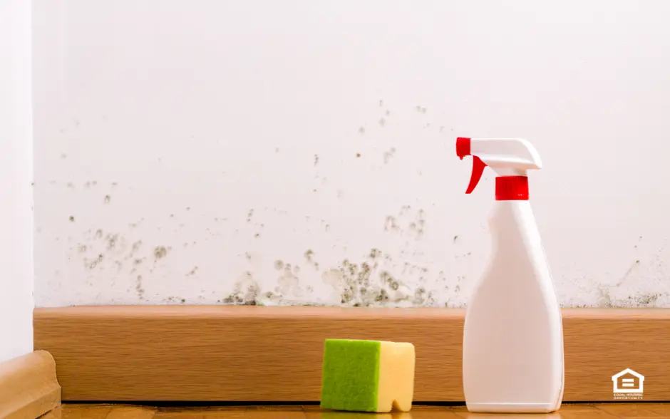 Mold on a wall with cleaning supplies