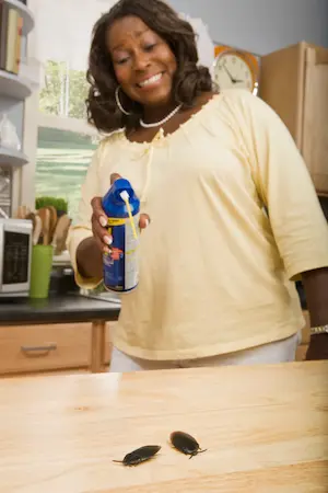 Lady spraying bugs on a counter