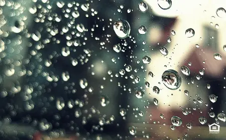 Raindrops on window pane.