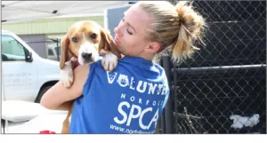 Lady holding a rescue dog